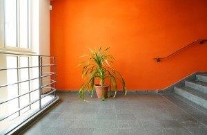How to Successfully Add Color to your Lakewood Ranch Home