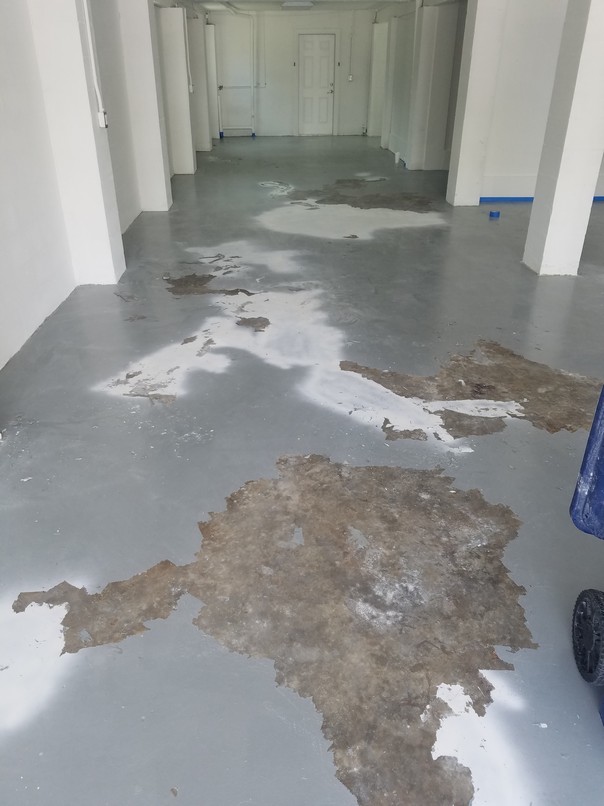 Garage Floor Epoxy at Oak Mill Terrace in Palmetto, FL