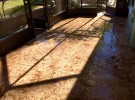 epoxy floor041